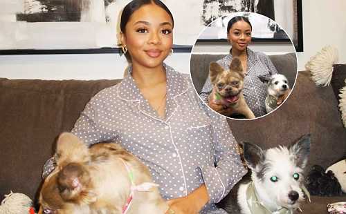 PREGNANT SKAI JACKSON SHOWS OFF HER BABY BUMP ALONGSIDE HER DOG KIDS