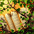 Article: Thorns of the Living Word: Scripture Entwined in the Verdant Silence