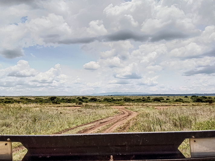 Nairobi National Park