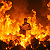Essay: Reading Through the Apocalypse: A Man, a Book, and the Fire That Cannot Touch Him