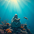 Essay: The Reader Who Never Surfaced: Liturgy at the Bottom of the First Womb
